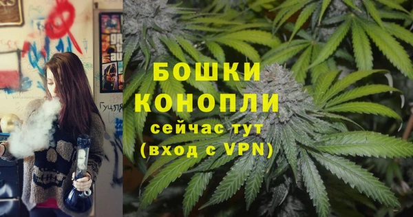 стафф Бронницы