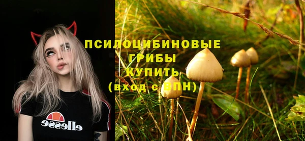 стафф Бронницы